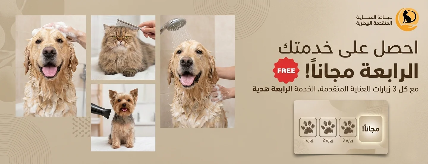 العناية المتقدمة للحيوانات