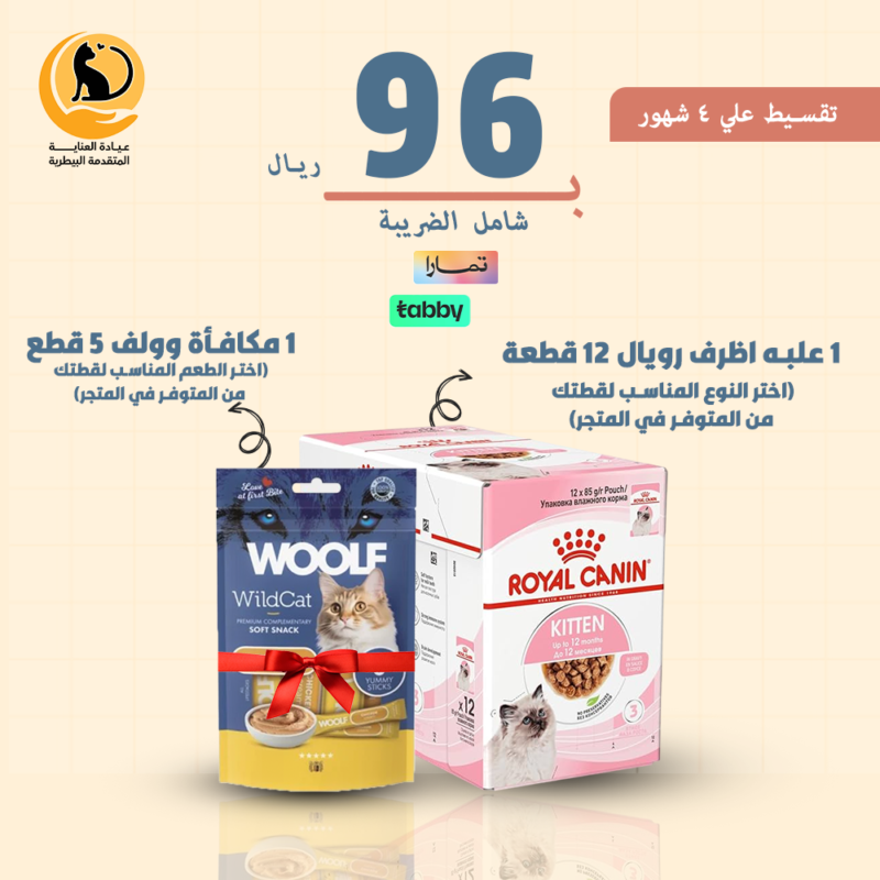 علبه اظرف رويال 12 قطعه + مكافأة هدية