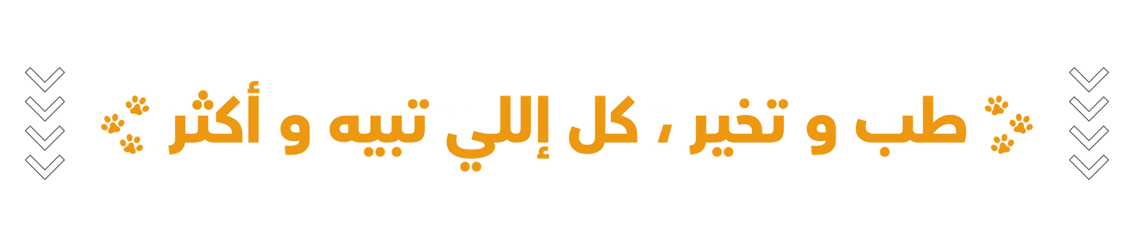 العناية المتقدمة للحيوانات