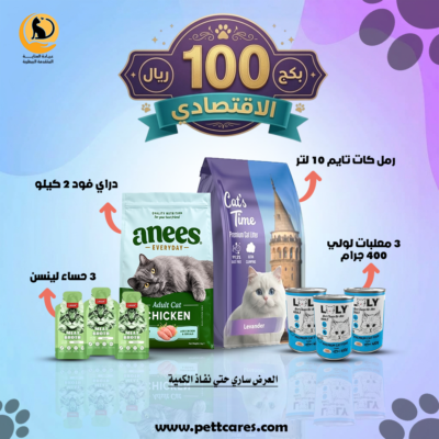 بكج 100 الاقتصادي
