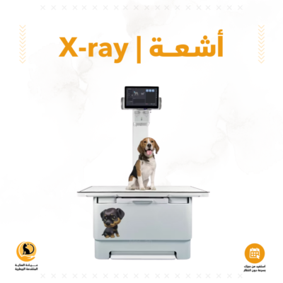 اشعة | X-ray