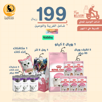 بكج رويال القطط الصغيرة