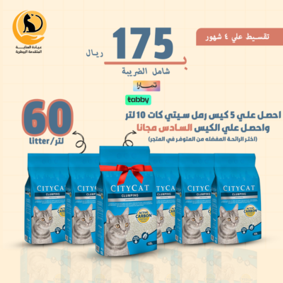 بكج رمل سيتي كات 60 لتر