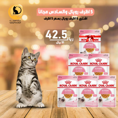 5 اظرف رويال والسادس هدية